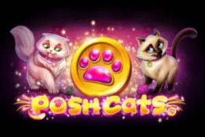 Posh Cats