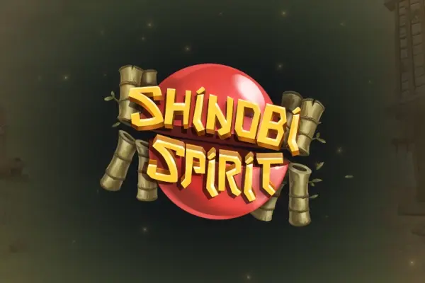 Shinobi Spirit