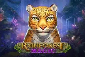 Rainforest Magic