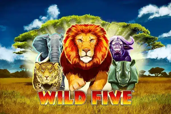 Wild Five